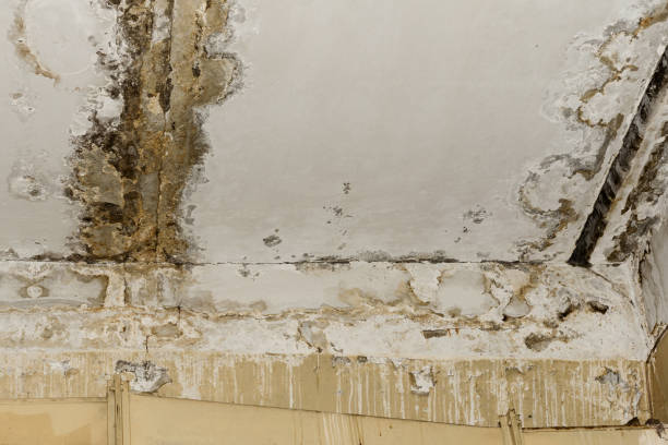 Best Indoor Air Quality Assessment  in Tequesta, FL
