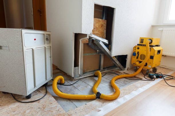 Best Mold Odor Removal Services  in Tequesta, FL