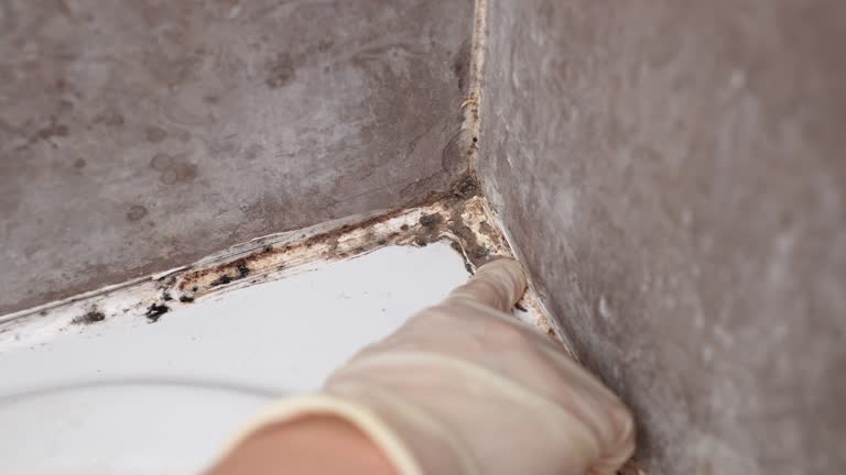 Best Airborne Mold Testing  in Tequesta, FL