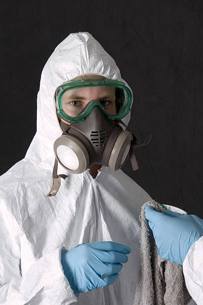 Best Asbestos and Lead Testing During Mold Inspection  in Tequesta, FL